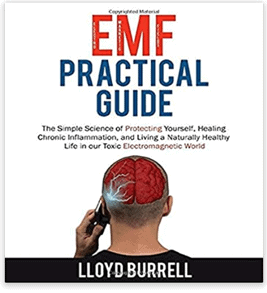 emf practical guide