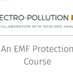 electro polluatino fix course review