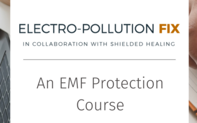 electro polluatino fix course review