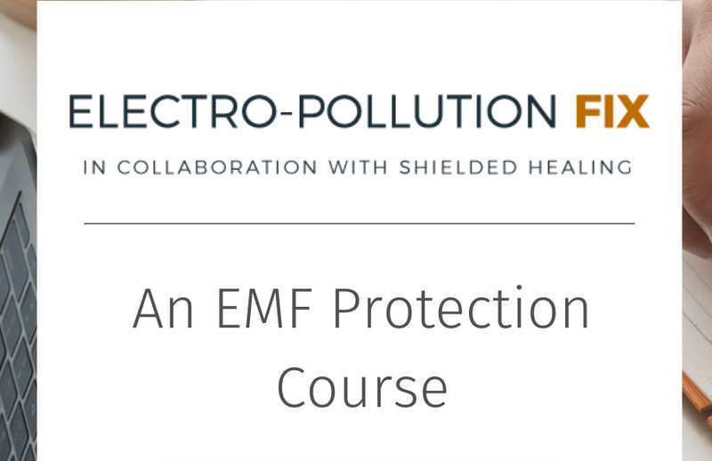 electro polluatino fix course review